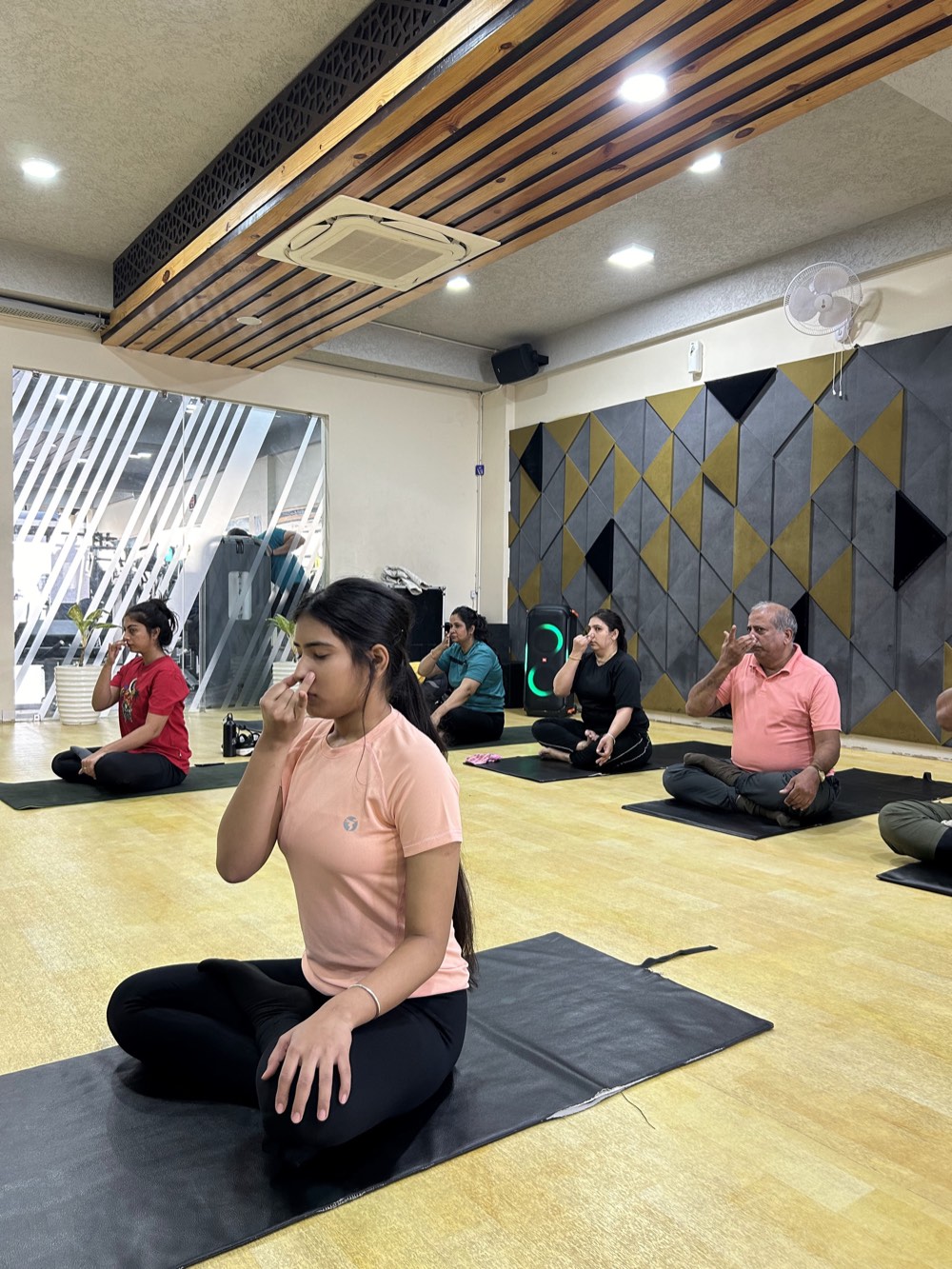 Yoga session, Mansarovar